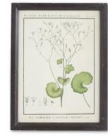 Leafy Botanicals in Black Frames-wall art > Home & Garden > Decor > Artwork > Posters >Prints >Visual Artwork-Fleabane-Quinn's Mercantile