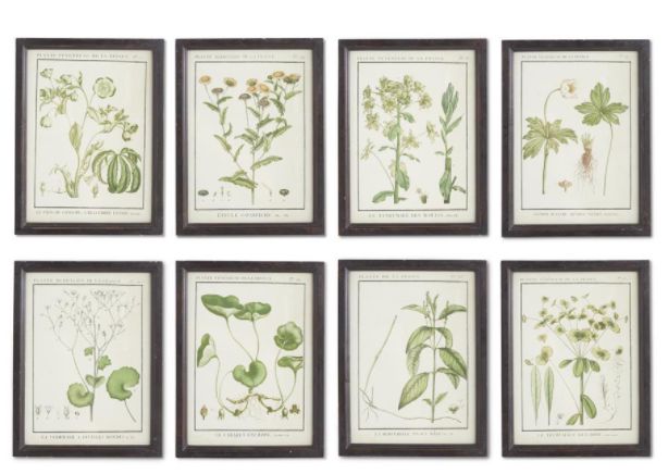 Leafy Botanicals in Black Frames-wall art > Home & Garden > Decor > Artwork > Posters >Prints >Visual Artwork-Fleabane-Quinn's Mercantile