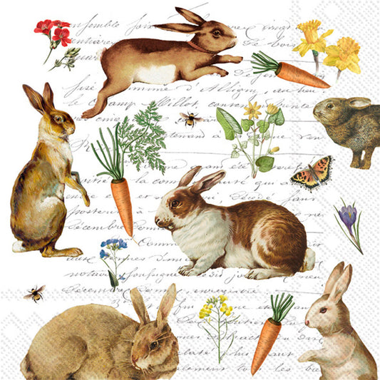 Hare Hunt Lunch Napkins-Textiles > Home & Garden > Household Supplies > Household Paper Products > Napkins-Hare Hunt-Quinn's Mercantile
