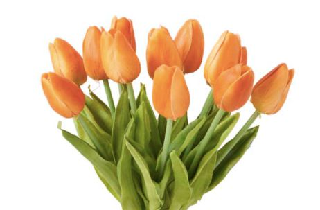 Mini Tulip Stems-Floral Spring-Orange-Quinn's Mercantile