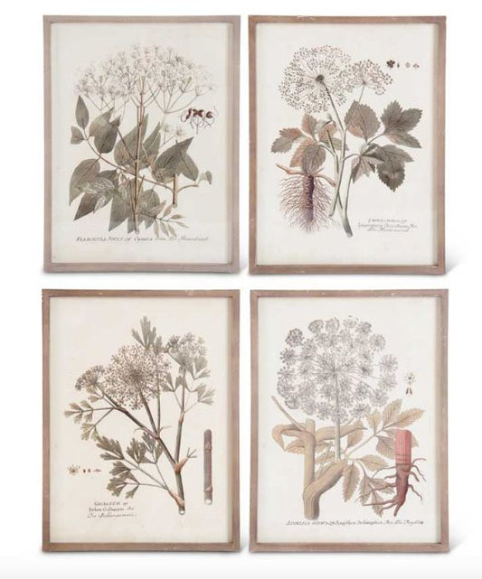 Wood Framed Botanical Print-For the Home-Quinn's Mercantile