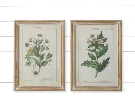 Framed Yellow Floral Prints-wall art > Home & Garden > Decor > Artwork-Yellow-Quinn's Mercantile