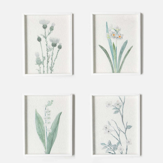 Botanical Framed Art-Wall Decor > Home & Garden > Decor > Artwork-Daffodil-Quinn's Mercantile