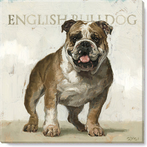 Dog Breed Giclee Prints-Wall Decor-English Bulldog 5x5"-Quinn's Mercantile