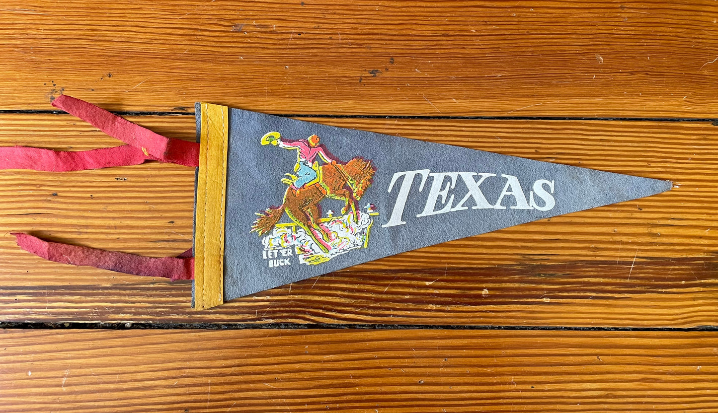 Vintage Mini Pennants-Vintage Finds > Home & Garden > Decor > Flag-Texas - Blue-Quinn's Mercantile