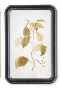 Leaf Foliage Prints-wall art-Quinn's Mercantile