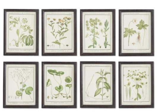 Leafy Botanicals in Black Frames-wall art > Home & Garden > Decor > Artwork > Posters >Prints >Visual Artwork-Quinn's Mercantile