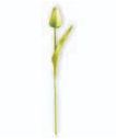 Mini Tulip Stems-Floral Spring-Quinn's Mercantile