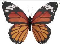 Butterfly Magnets-Home & Garden > Decor > Refrigerator Magnets-Quinn's Mercantile