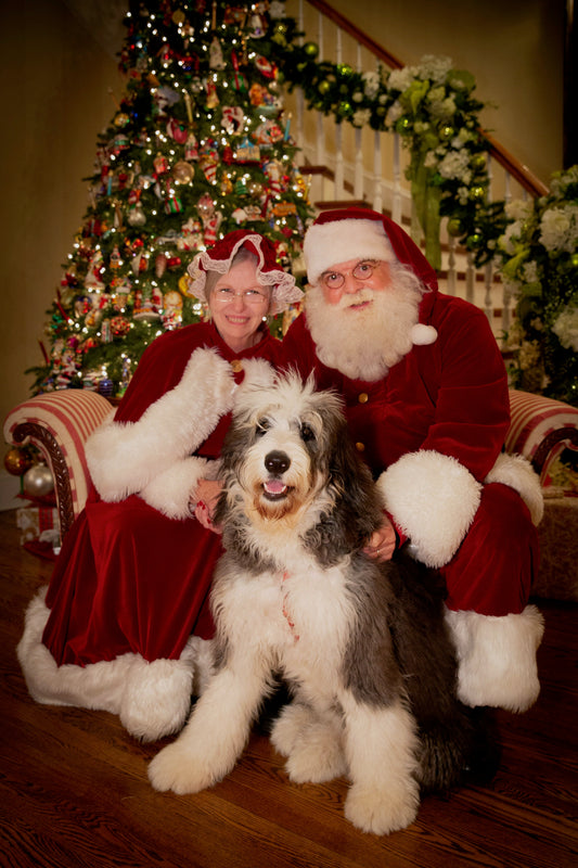 Santa Pet Photos-Event-Quinn's Mercantile