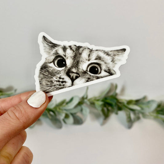 Peeking Cat Sticker-Decorative Stickers > Arts & Entertainment > Hobbies & Creative Arts > Arts & Crafts > Art & Crafting Materials > Embellishments & Trims > Decorative Stickers-Quinn's Mercantile