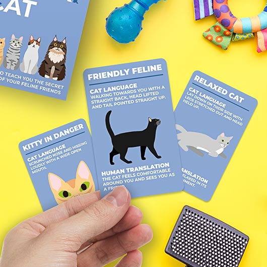 How to Speak Cat-Games > Toys & Games > Games > Card Games-Quinn's Mercantile