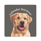 Labrador Retriever Coaster-Coasters-Quinn's Mercantile