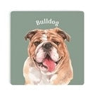 Bulldog Coaster-Coasters-Quinn's Mercantile
