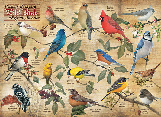 Popular Backyard Wild Birds of North America | 1000 Piece-Toys & Games > Puzzles-Quinn's Mercantile