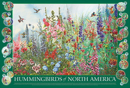 Hummingbirds of North America Puzzle-Toys & Games > Puzzles > Jigsaw Puzzles-Quinn's Mercantile