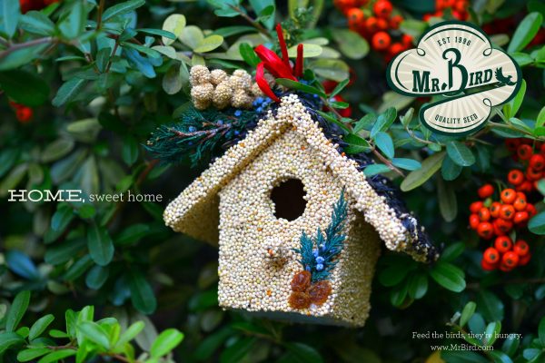 Birdie Cottage Treats-For the Home > Home & Garden > Decor > Bird & Wildlife Houses > Birdhouses-Quinn's Mercantile