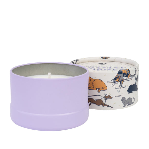 Pet Odor Eliminating Candle - Lavender & Honey-Home & Garden > Decor > Home Fragrances > Candles-Quinn's Mercantile