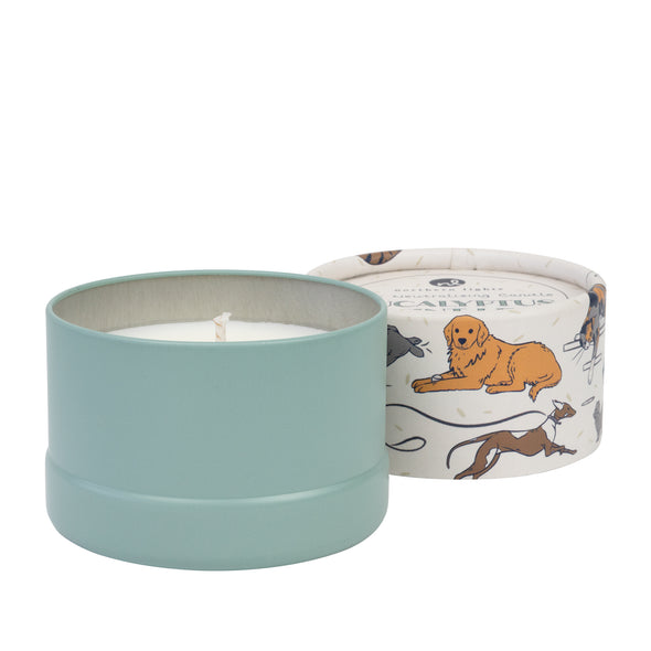 Pet Odor Eliminating Candle - Eucalyptus & Mint Leaf-Home & Garden > Decor > Home Fragrances > Candles-Quinn's Mercantile
