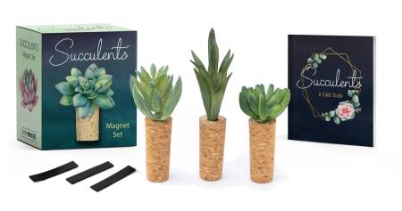 Succulents Magnet Set-Home & Garden > Decor > Refrigerator Magnets-Quinn's Mercantile