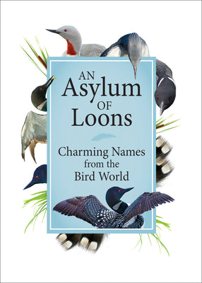 An Asylum of Loons: Charming Names from the Bird World-Media > Books-Quinn's Mercantile