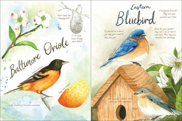 Drawn to Birds-Media > Books-Quinn's Mercantile
