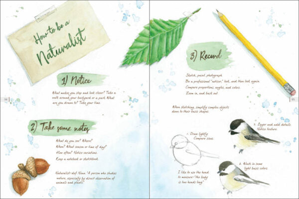 Drawn to Birds-Media > Books-Quinn's Mercantile