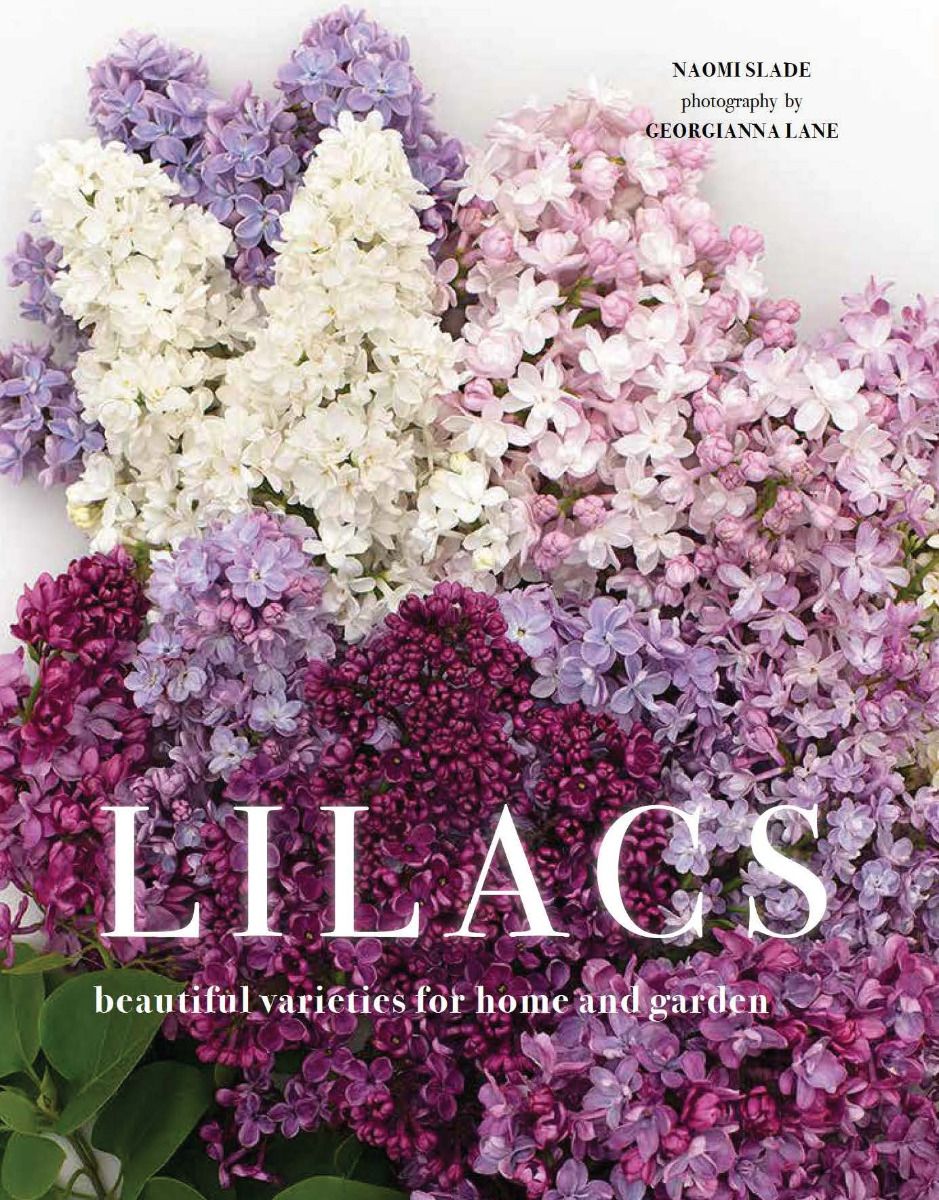 Lilacs-Quinn's Library > Media > Books > Print Books-Quinn's Mercantile