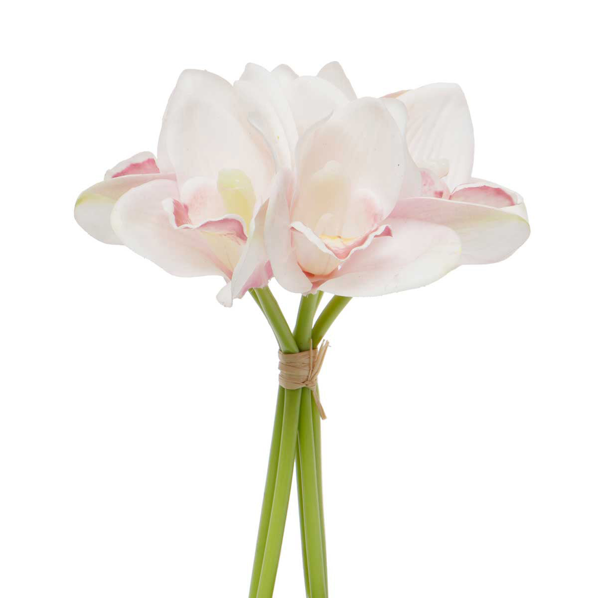 Orchid Bundle-Home & Garden > Decor > Artificial Flora-Quinn's Mercantile