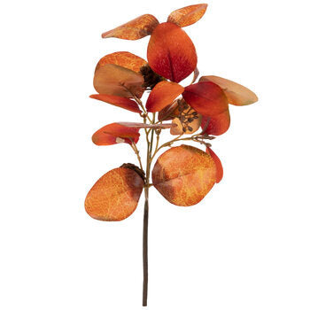 Orange Eucalyptus Pick-Fall Decor > Home & Garden > Decor > Wreaths & Garlands-Quinn's Mercantile